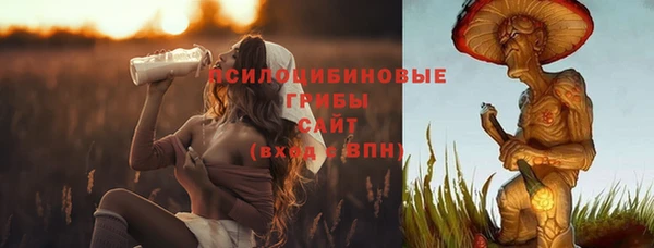 дживик Гусь-Хрустальный