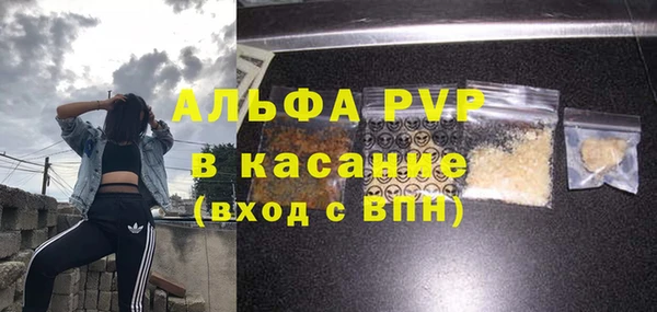 дживик Гусь-Хрустальный