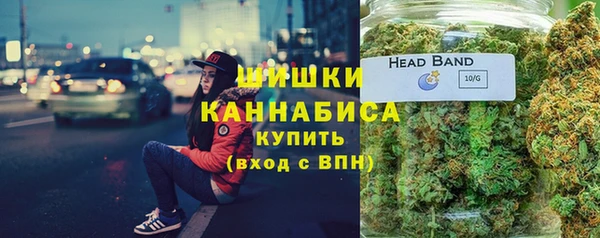 дживик Гусь-Хрустальный