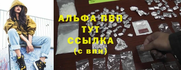 дживик Гусь-Хрустальный