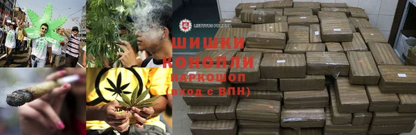 дживик Гусь-Хрустальный