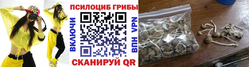 Купить закладки  Малая Вишера  Галлюциногенные грибы Psilocybe 
